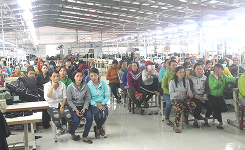Khánh Hòa Tăng tuyển dụng lao động không cần kinh nghiệm